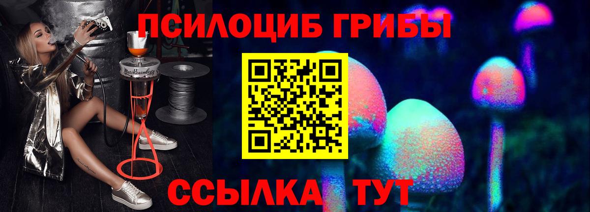 Галлюциногенные грибы Psilocybine cubensis  Псилоцибиновые грибы прущие грибы  Анжеро-Судженск  Вход с VPN 